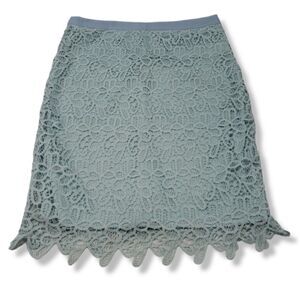 Potter's Pot Size Large Womens Lace Skirt Floral Paisley Pencil Skirt Lined Blue